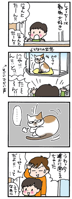 となりのネコさん